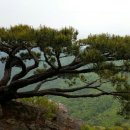 가지산농원