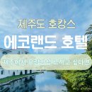 에코랜드 호텔 유럽감성 아이와 호캉스 꿀팁