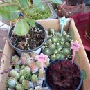 신샘밭로 이미지