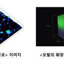 피엔케이 이미지