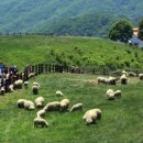 동양목초 이미지