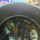 통영마린파크