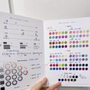 🎨 가성비갑 ! 내돈내산 퍼스널컬러 진단 후기 | 컬러유화에서 진짜 나를 만나다 ✨