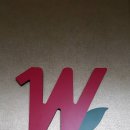 (주)세미원푸드 Daum카페