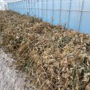 한길타조농장 이미지