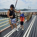 돌산해양낚시공원낚시터 이미지