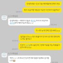 도그마 펫살롱 이미지