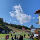 태백산감자탕부대찌개 이미지