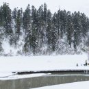 보미목장 이미지