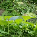 다움한의원 이미지