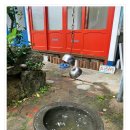 도깨비여관 이미지