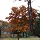 태원엔지니어링 네이버블로그