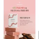 댕댕로망스 | 오밀조밀 일주일의 일상