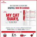 마이다이어리 뉴스1