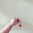 초이농장 이미지