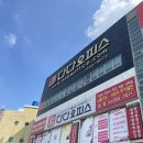 다다오피스 이미지