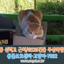 GS25 건물 이미지