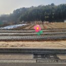 고성부동산중개사무소 이미지
