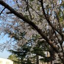 조개명당 이미지