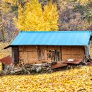 양촌마을 경로당 이미지