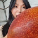 덕치농장 이미지