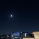낙산한의원 네이버블로그