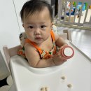 안중세탁소 | 275일차 딱 9개월 새싹🌱 많이 컸다