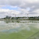 성성호수공원 이미지