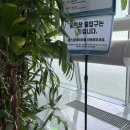 258 Inn | Everyday is yesterday We don't look back : THE GLOW 2026 2일차 후기 - 킨텍스 제 2전시장(26.03.21)