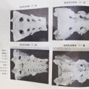 북경백침당한의원 이미지