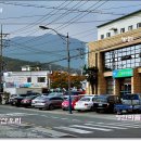 가야산오리 이미지