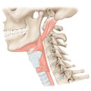 구리바른재활의학과의원 | 구리재활의학과, 뒷목이 뻐근하고 어깨에 돌덩이가 얹힌 듯한 통증