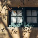 저녁나절 이미지