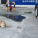 서프라운지
