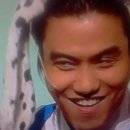 피오나 이미지