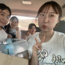 아레나펜션 이미지