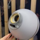 모범돼지 이미지