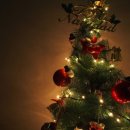 사상태권도 이미지