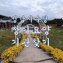 탄리로31번길+제일로124번길 | 성남시 수정구 장기요양기관, 재가요양기관 찾기