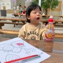 아들농장 | 강원도 춘천 딸기 체험 알로록딸기농장 27개월아들이랑 다녀왔어요!