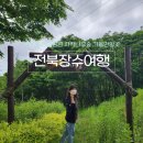 신기 | 전북 장수 여행 뜬봉샘 생태공원 자작나무숲 가볼만한곳
