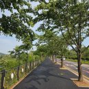 자연대로 이미지