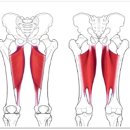 F4GYM(에프포짐) 이미지
