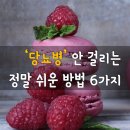 케이크와 쿠키의 세계 이미지