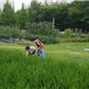 야 놀자 그림책으로 이미지