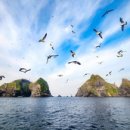 신성소프트 이미지