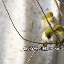 현대시선 밴드 8월의 선정시_돌아오는 마음_작사 芮瑯(예랑) 주희주_작 편곡 수노_기획 윤기영 이미지