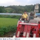 하천리-13 이미지