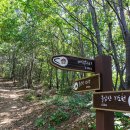 금강올레길 이미지