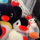 피자스쿨속초 이미지